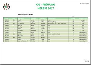 OG-Prüfung Ergebnisse-BGH1 25.-26.11.2017