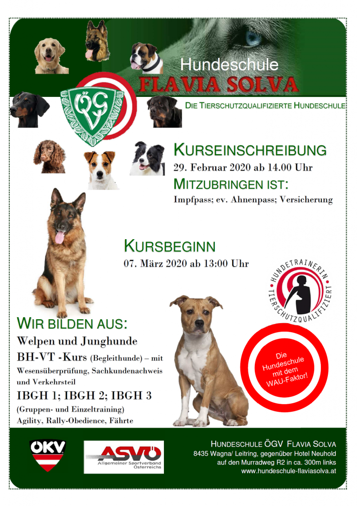 Hundeschule Flavia Solva Plakat_2020 Hundeschule Flavia Solva Plakat_2020