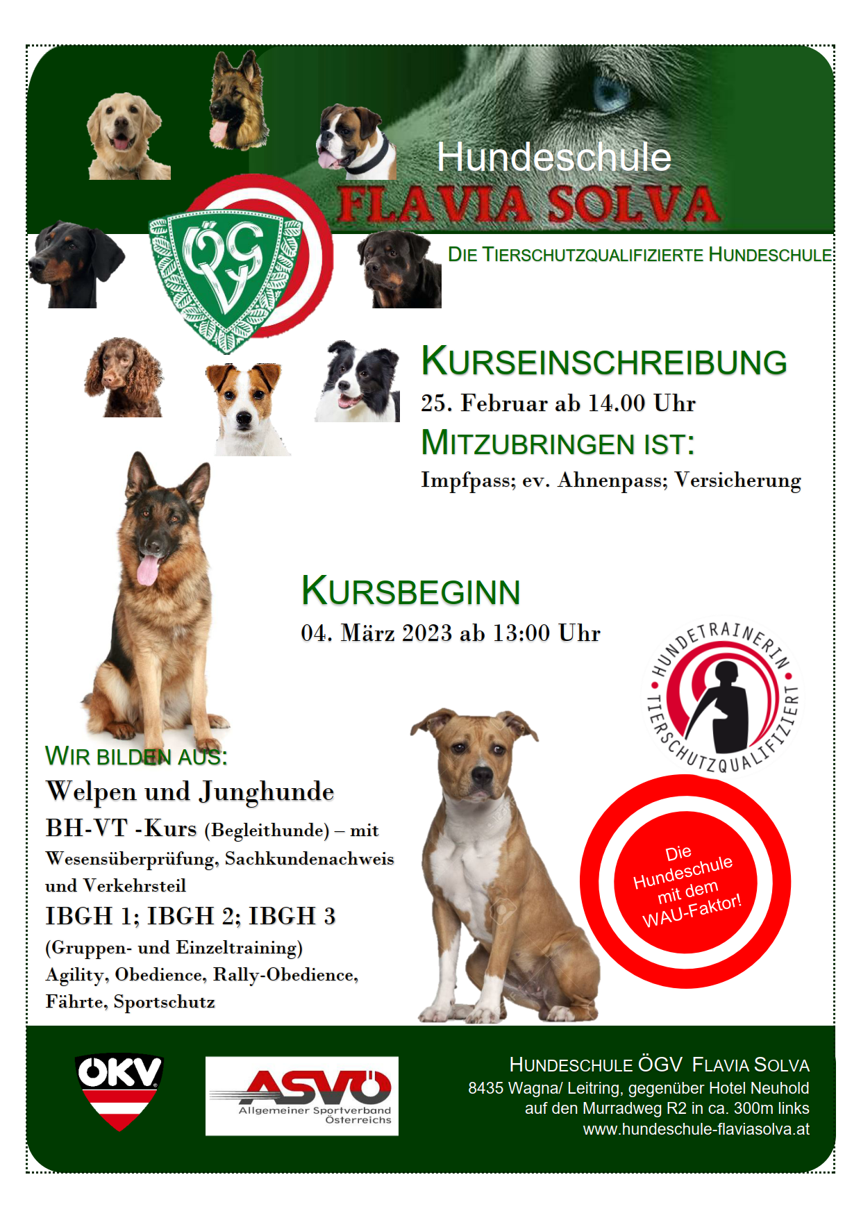 Hundeschule-Flavia-Solva-Plakat_2023_1
